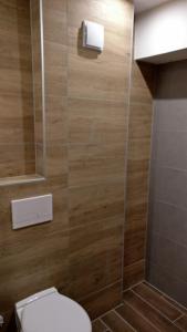 a bathroom with a toilet and a shower at TopFloor Ohrid in Ohrid