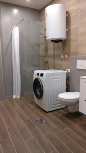 a bathroom with a toilet and a washing machine at TopFloor Ohrid in Ohrid
