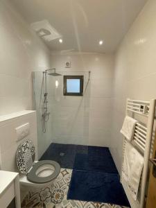 a white bathroom with a toilet and a window at Logement entier avec jacuzzi en provence in Le Thor