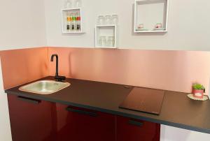 a kitchen with a sink and a laptop on a counter at ConteMax ArtHouse in Salerno