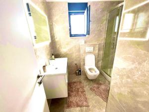 比奧格勒納莫魯的住宿－Apartment Aron，一间带卫生间和水槽的小浴室