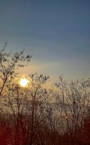 una puesta de sol detrás de algunos árboles con el sol en el cielo en Casă particulară, en Suceava