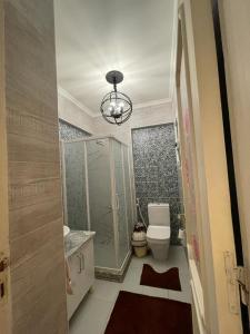 a bathroom with a shower and a toilet and a chandelier at Way to kamet in Alexandria