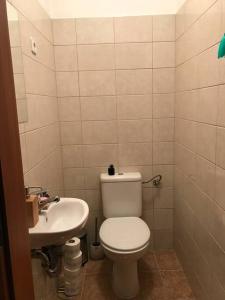 Baño pequeño con aseo y lavamanos en Aréna Apartman, en Budapest