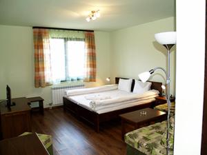 a hotel room with a bed and a couch at DE-YAN Guest House in Oreshak +15 photos