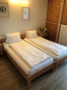 a pair of beds in a room at Hotel Restaurant Heidihof in Maienfeld