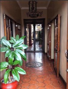 un couloir avec une usine devant une porte dans l'établissement Casa Hibiscus Boutique Hotel, à Cuenca