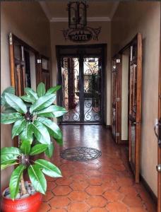 a hallway with a plant in front of a door at Casa Hibiscus Boutique Hotel in Cuenca