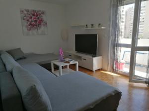 a living room with a couch and a tv at Apartman Petra in Pula