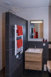 a bathroom with a sink and a mirror at De Sprink - Luxe Kamer - Strand & Zee in Zoutelande