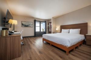 a hotel room with a bed and a television at La Luna Inn, Ascend Hotel Collection in San Francisco
