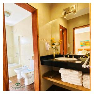 a bathroom with a sink and a toilet and a mirror at Pampas al Sur in Río Colorado +17 photos