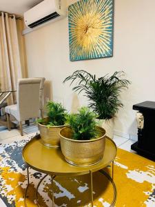 dwie doniczki na stole w salonie w obiekcie Isibani luxury apartment w mieście Richards Bay