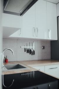 Kuchyň nebo kuchyňský kout v ubytování Apartament Harmony