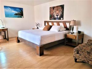 a bedroom with a bed and a table with a lamp at Hotel Zima in San Isidro de El General +84 photos