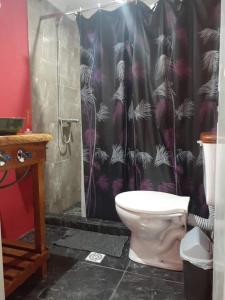uma casa de banho com um WC e uma cortina de chuveiro em Complejo Las Palmeras .Casa 2 em San Clemente del Tuyú