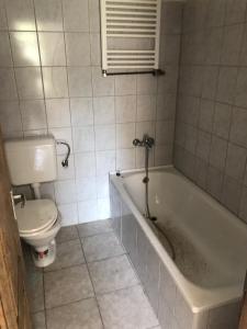 ein Badezimmer mit einer weißen Badewanne und einem WC in der Unterkunft Feel Natural and Relaxed in a 3 Bedroom Apartment in Gyongyosfalu in Gyöngyösfalu