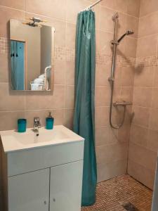 a bathroom with a sink and a shower with a mirror at Chambres d'Hôtes Château Pierre de Montignac in Civrac-en-Médoc