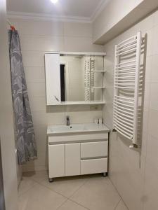 Ένα μπάνιο στο Appartement avec 2 chambres en centre ville