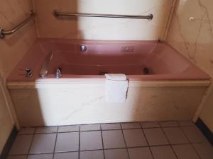 Koupelna v ubytování Budget Inn