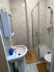 a bathroom with a sink and a shower and a toilet at 020- S3 Excellent central location in Paddington in London