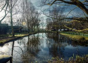 Gallery image of Sherwood Castle Holiday Forest in Edwinstowe