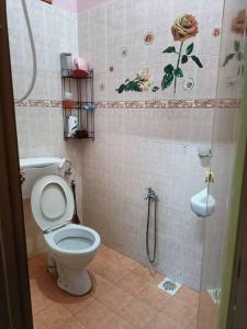 a bathroom with a toilet and a shower at AlFateh Homestay Kepala Batas in Kepala Batas