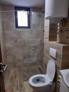 a bathroom with a toilet and a shower at Apartman osam M in Kopaonik