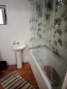 y baño con lavabo, ducha y aseo. en Cabañas Josabi, en Concepción