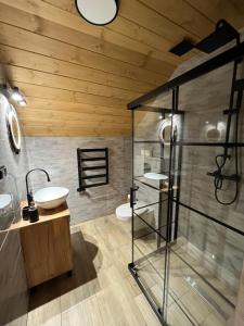 uma casa de banho com 2 lavatórios e uma cabina de duche em vidro. em U Babci na strychu em Zakopane