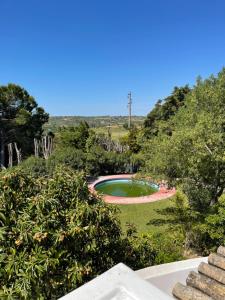 a view of a swimming pool in a garden at Vila sol in Armação de Pêra