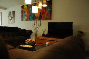 a living room with a couch and a television at Twinkeling Lights in Kluisbergen