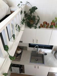 a kitchen with a sink and potted plants on the stairs at Tiny Nerak in Nethercote