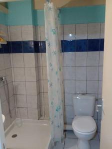 a bathroom with a toilet and a shower curtain at Superbe appartement cœur de ville de Fort de France in Fort-de-France