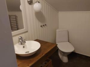 ein Badezimmer mit einem weißen WC und einem Waschbecken in der Unterkunft Holiday home GRISSLEHAMN XII in Grisslehamn