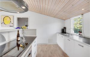 Η κουζίνα ή μικρή κουζίνα στο 3 Bedroom Cozy Home In Rødby