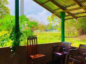 Giardino di Sungreen Cottage Sigiriya