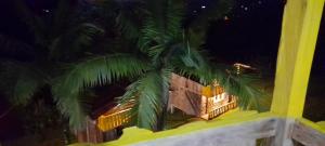 a palm tree in front of a house at night at glamping/cabañas Monaco in Santa Rosa de Cabal