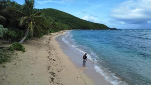 una persona in piedi su una spiaggia vicino all'oceano di Wai Makare Homestay a Naviti Island