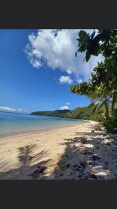 Naviti Island的住宿－Wai Makare Homestay，一片拥有树木的海滩,海洋和天空