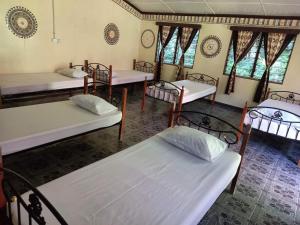 a group of beds in a room with windows at Wai Makare Homestay in Naviti Island
