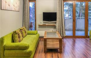 a living room with a green couch and a tv at Cozy Apartment In Stegna With Kitchen in Stegna