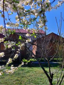un árbol con flores blancas delante de una casa en sweet village, en Tskaltubo