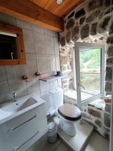 a bathroom with a toilet and a sink and a window at La myrtilleraie in Péreyres