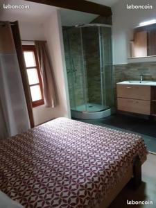 1 dormitorio con cama, ducha y lavamanos en Gîte 4 places St Bauzille de Montmel, en Saint-Bauzille-de-Montmel