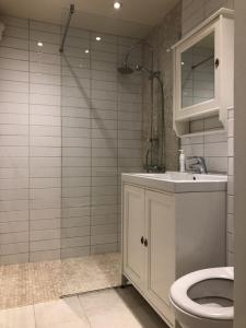 安德內斯的住宿－Apartment Utsikten，浴室配有白色卫生间和盥洗盆。