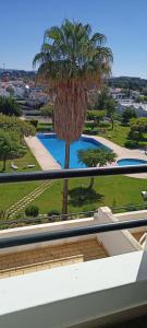 uma vista para uma palmeira e uma piscina em Bella Estrela em Albufeira
