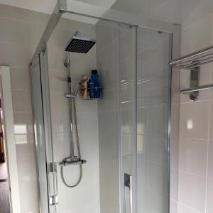 a shower with a glass door in a bathroom at Las Tres Mimosas in San Vicente de la Barquera