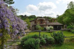 A garden outside Molino in chianti