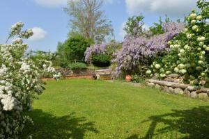 A garden outside Molino in chianti